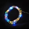 Guirlande Lumineuse Intérieure Fil de Cuivre 20 Mini LED Multicolores