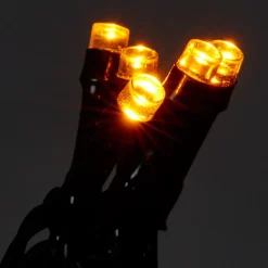 Guirlande lumineuse LED intérieure blanc chaud câble vert 8 fonctions 11 m