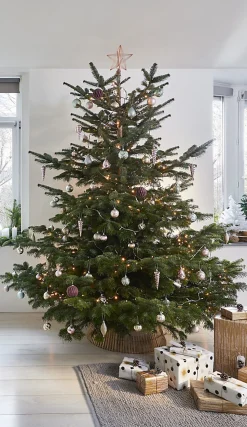 Guirlande lumineuse LED intérieure et extérieure blanc chaud câble vert 8 fonctions 24,2 m