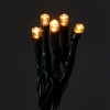 Guirlande lumineuse LED intérieure et extérieure blanc chaud câble vert 5,2 m