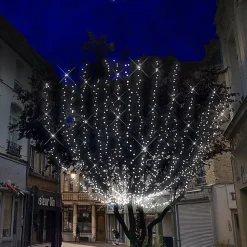 Guirlande scintillante L12m - prolongeable - Chromex