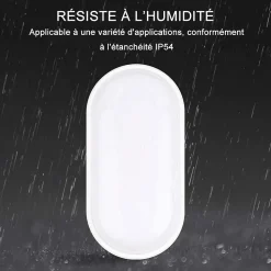 Hublot extérieur LED intégrée oval Avec Détecteur 12w IP54 23cm 850lm