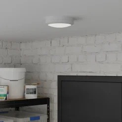 Hublot Tilman LED intégrée blanc neutre IP65 650lm 12W ⌀20xP.7cm gris GoodHome