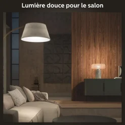 Hue White ambiance kit de démarrage Philips Hue : 2 ampoules connectées IP20 A60 E27 1100lm 11W + bridge