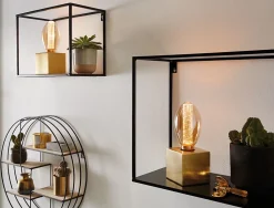 Inner Glow Edition Ampoules LED Ampoule intérieure sphérique E27 230V 2x230lm 2x4W 1800K Doré