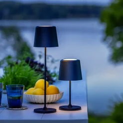 KAAMI lot de 2 lampes extérieures LED intégrée 2W noir dépoli 310 lumen 3000 kelvin IP44