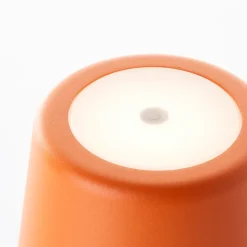 KAAMI lot de 2 lampes extérieures LED intégrée 2W orange mat 310 lumen 3000 kelvin IP44