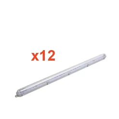 Kit de Réglette LED étanche + 1 Tube Néon LED 150cm T8 22W (Pack de 12) - Blanc Froid 6000K - 8000K - SILAMP