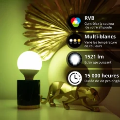 KOZii - Ampoule Connectée KOZii SMD E27 1521 lumens G95, éclairage blancs + couleurs - KE1500BRVBCCT