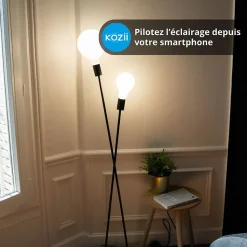 KOZii - Ampoule LED connectée KOZii, éclairage multi-blancs, Filament E27 G125 Opaque 7W cons. - KRFE806B125OCCT