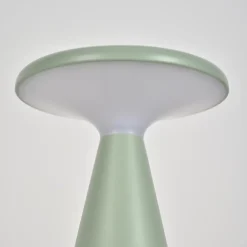 Lampe à poser au sol d'extérieur solaire rechargeable Belem LED intégrée vert 1.6W Corep