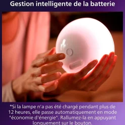 Lampe à poser dimmable Bluetooth Philips Hue IP20 Demi sphère 530lm 6W multicolore