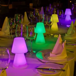 Lampe à poser rechargeable LED intégrée RGB 18lm 1W IP43 New Garden, Lola