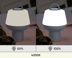 Lampe à poser rechargeable LED extérieure grise 2,5 W 250 lm USB IP54, GoodHome Kisatchie