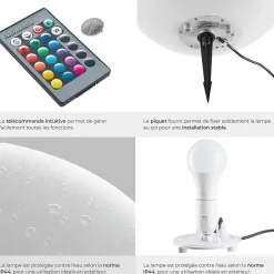 Lampe boule avec éclairage LED 12 W avec télécommande et ampoule