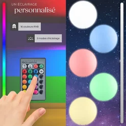 Lampe boule avec éclairage LED 12 W avec télécommande et ampoule