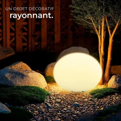 Lampe boule avec éclairage LED 12 W avec télécommande et ampoule