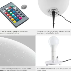 Lampe boule avec éclairage LED 12 W avec télécommande et ampoule