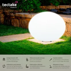 Lampe boule avec éclairage LED 12 W avec télécommande et ampoule