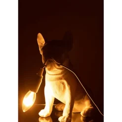 Lampe bulldog en synthétique blanc 26x14x28 cm
