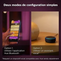 Lampe connectée Philips Hue Iris Noir
