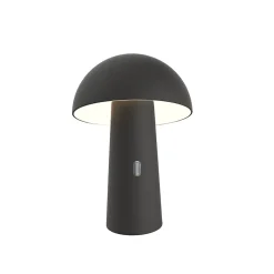 Lampe de jardin sur batterie Shitake noir IP44 7.5W blanc chaud Newgarden H.25cm