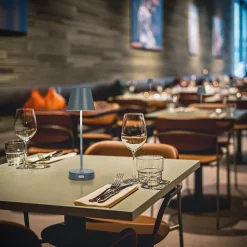 Lampe de table EDO NELI LED 2,7 W grise avec batterie 2200 mAh IP54 RGB 200 lm hauteur 33 cm NELI EDO