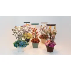 Lampe de table LED Poldina Reverso Sabbia, rechargeable et dimmable avec une autonomie allant jusqu'à 12 heures. IP65 extérieur