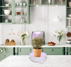 Lampe de table LED pour plantes de 24 cm de haut, en métal et plastique blanc, avec LED intégrée
