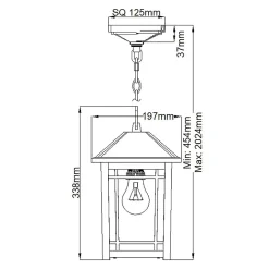 Lanterne à chaîne moyenne Cedar Point 1 lumière