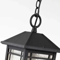 Lanterne à chaîne moyenne Cedar Point 1 lumière