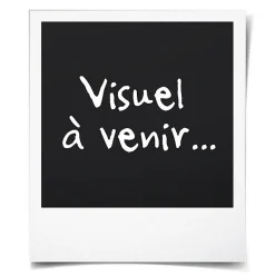 Lanterne solaire inox- Hauteur 79cm- 1 LED blanche- 10 Lumens- Eclairage extérieur Jardin