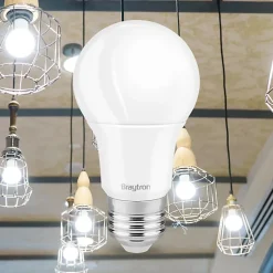 Le lot de 10 ampoules LED A60 9W (Eq. 60W) E27 3000K