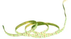 LED 'Stripe' d'environ 5 m de long, avec 2 connecteurs flexibles et bloc d'alimentation enfichable, 300 LED, vertes