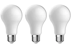 Lot 3 ampoules LED à filament dépolie GLS E27 1521lm 10.5W = 100W Ø7cm IPX4 Diall blanc neutre
