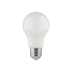 Lot 30 ampoules LED Diall E27 8W 806lm blanc chaud