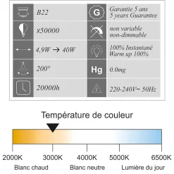 Lot de 10 ampoules LED E27 4,5W 330Lm 3000K - garantie 5 ans