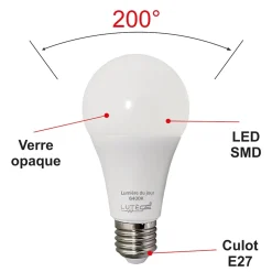 Lot de 10 ampoules LED E27 13W (équiv. 100W) 1521Lm 6500K - garantie 5 ans