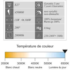 Lot de 10 ampoules LED E27 13W (équiv. 100W) 1521Lm 6500K - garantie 5 ans