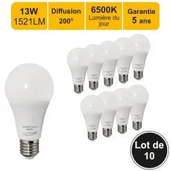 Lot de 10 ampoules LED E27 13W (équiv. 100W) 1521Lm 6500K - garantie 5 ans