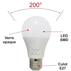 Lot de 10 ampoules LED E27 4,9W 470Lm 3000K - garantie 5 ans
