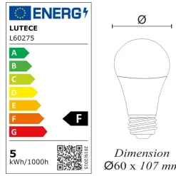 Lot de 10 ampoules LED E27 4,9W 470Lm 3000K - garantie 5 ans