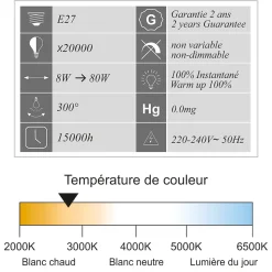 Lot de 10 ampoules LED filament E27 8W (équiv. 80w) 950Lm 2700K - garantie 2 ans