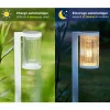 Lot de 2 Eclairages LED 25 lm Solaire à planter Idéal éclairage Allée et chemin