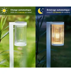 Lot de 2 Eclairages LED 25 lm Solaire à planter Idéal éclairage Allée et chemin
