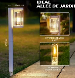 Lot de 2 Eclairages LED 25 lm Solaire à planter Idéal éclairage Allée et chemin