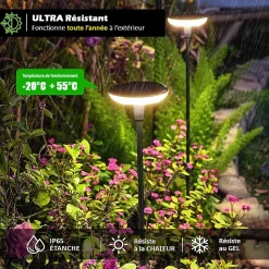 Lot de 2 Eclairages LED 35 lm Solaire à planter Idéal illumination de composition florale