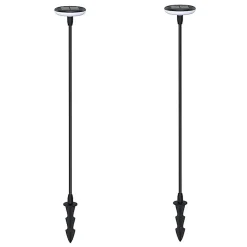 Lot de 2 Eclairages LED 35 lm Solaire à planter Idéal illumination de composition florale