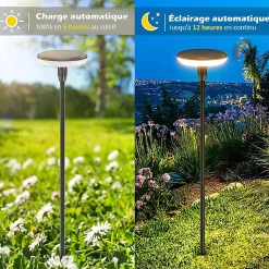 Lot de 8 Eclairages LED 35 lm Solaire à planter Idéal illumination de composition florale