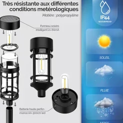 Lot de 2 lampes solaires extérieures, éclairage LED - Noir - Linxor